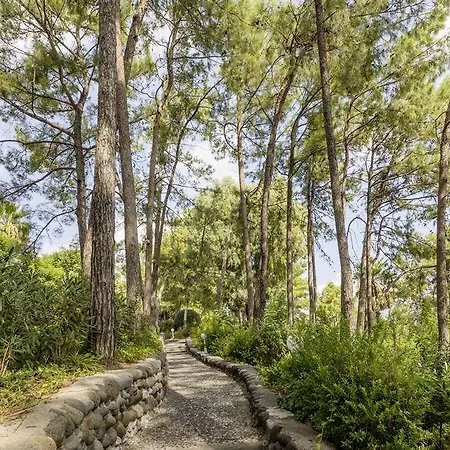 Labranda Mares 酒店 *