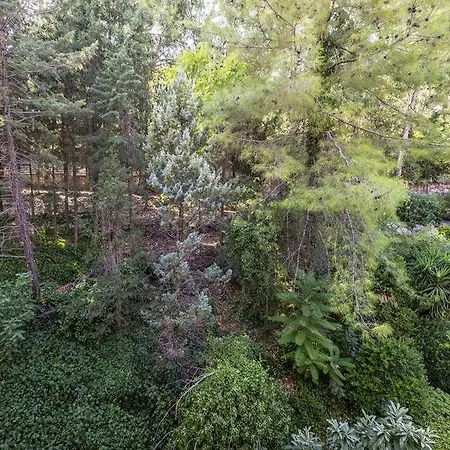 Labranda Mares * 马尔马里斯