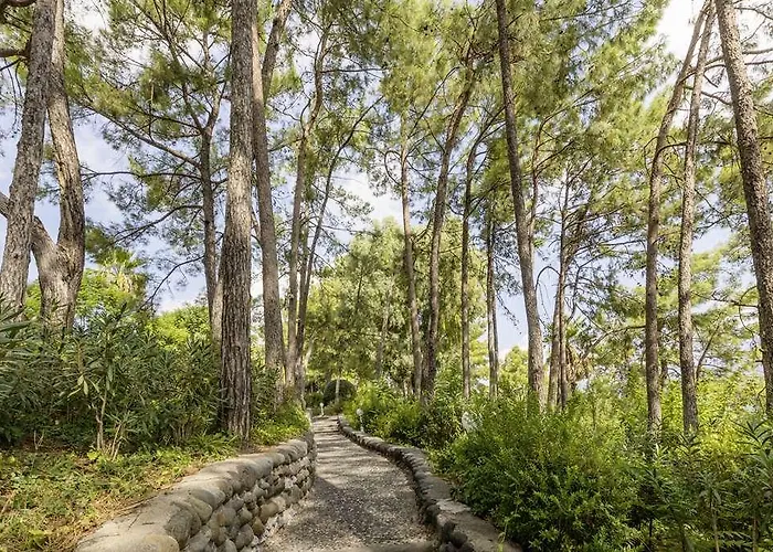 Labranda Mares Отель *