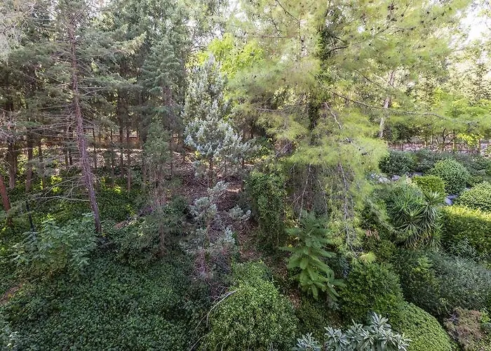 Labranda Mares * Мармарис